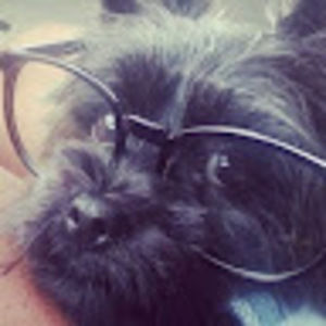 Meet your Posher, Asia